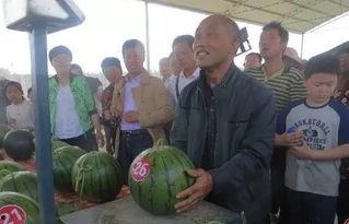 北美吃瓜群众jzh,jzh事件背后的真相与反思