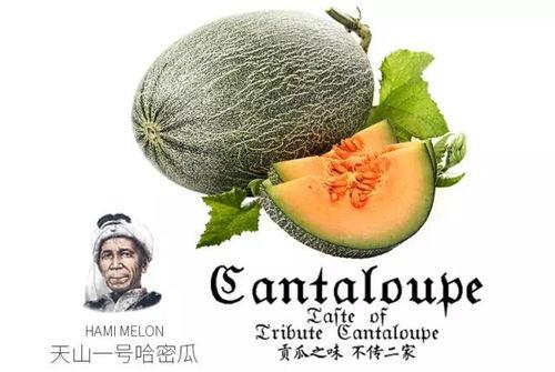 吃瓜号图文,揭秘吃瓜号图文背后的真相与趣味