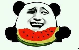 吃瓜大仙,网络红人的崛起与影响力