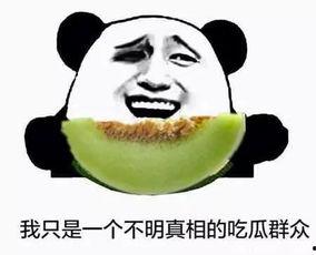 不限量吃瓜群众